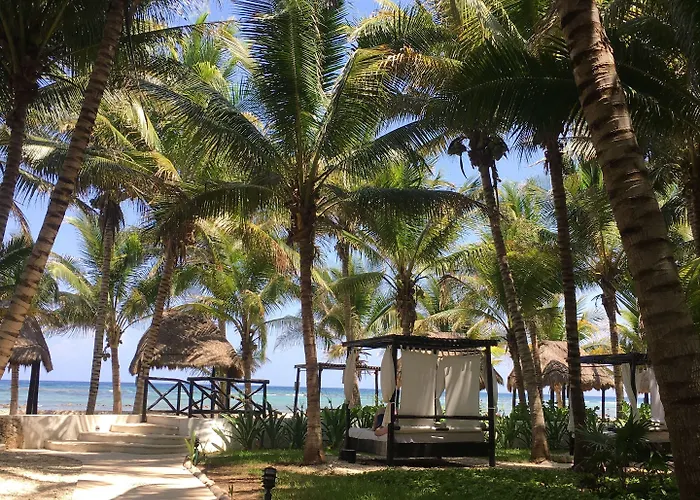 El Dorado Seaside Palms Spa Resort (Adults Only) 5*