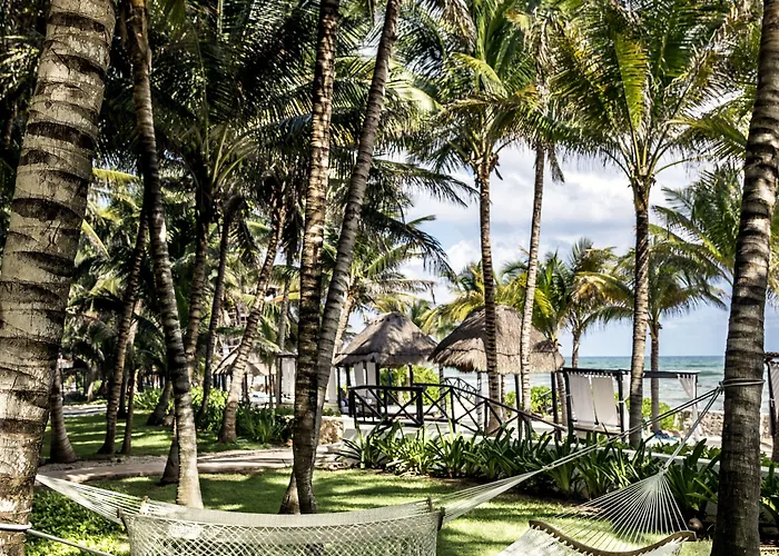 Hotel El Dorado Seaside Palms Spa Resort (Adults Only)