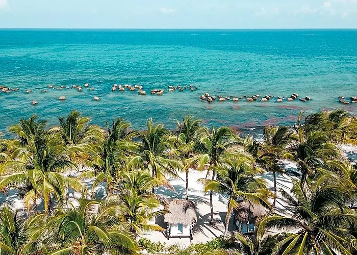 Hotel El Dorado Seaside Palms Spa Resort (Adults Only) Xetna