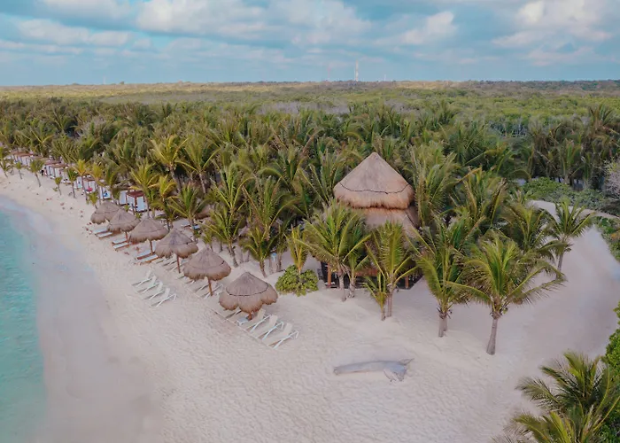 El Dorado Seaside Palms Spa Resort (Adults Only) Xetna